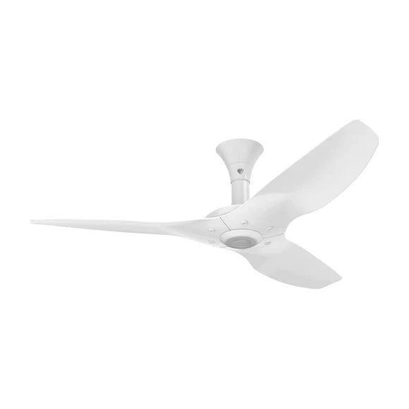 Big Ass Fans Haiku 60