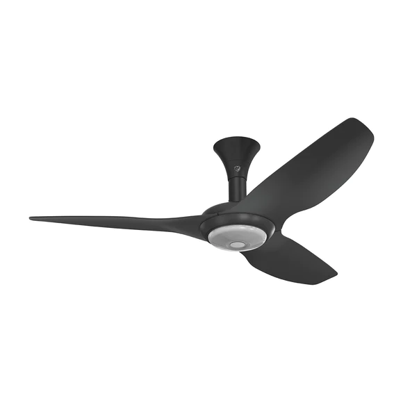 Big Ass Fans Haiku 52