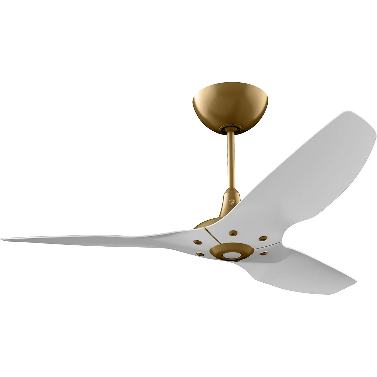 Big Ass Fans Haiku 52